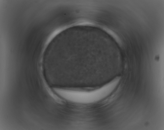 X0000094961375200712131635