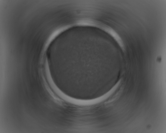 X0000094961376200712131635