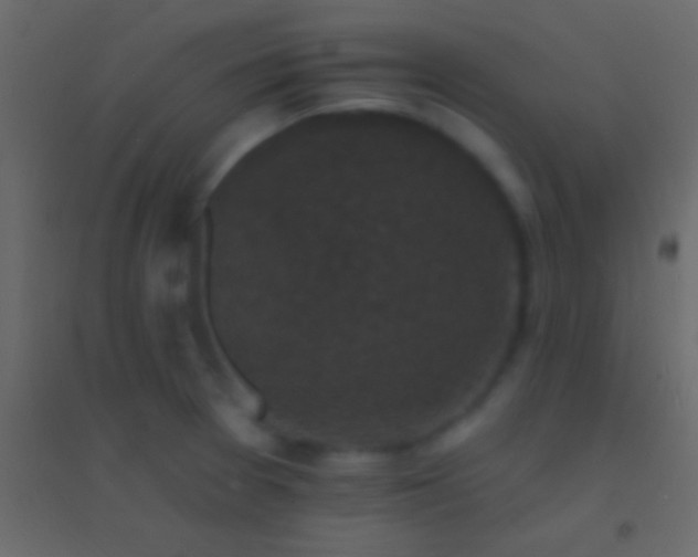 X0000094961377200712131635