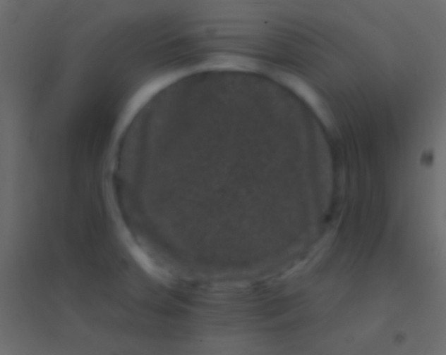 X0000094961379200712131635