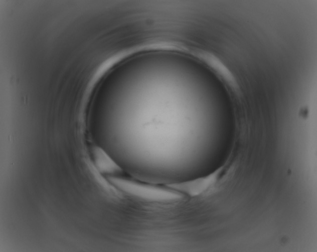 X0000094961380200712131635