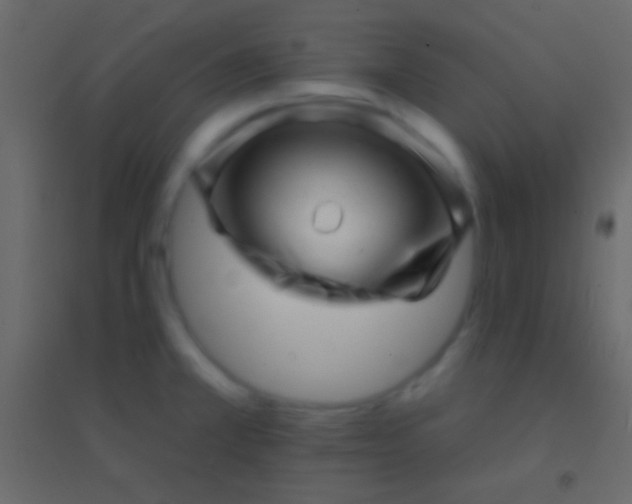 X0000094961381200712131635