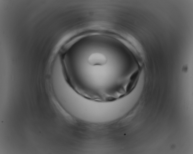 X0000094961384200712131635