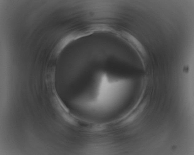 X0000094961385200712131635