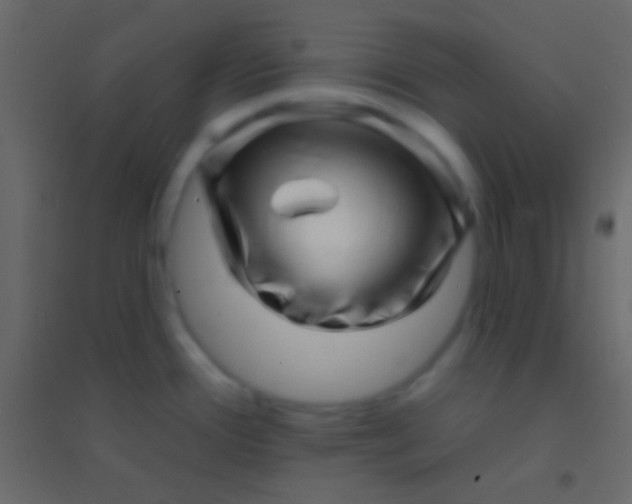 X0000094961388200712131635