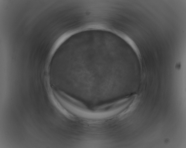 X0000094961389200712131635