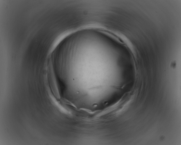 X0000094961390200712131635