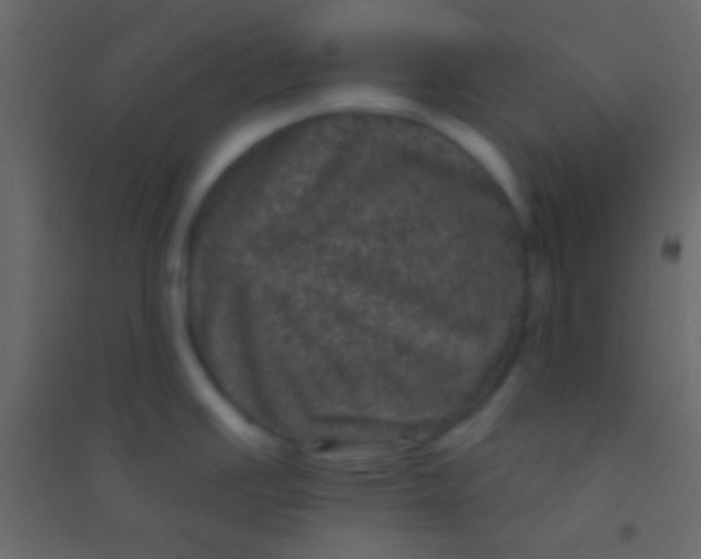 X0000094961391200712131635