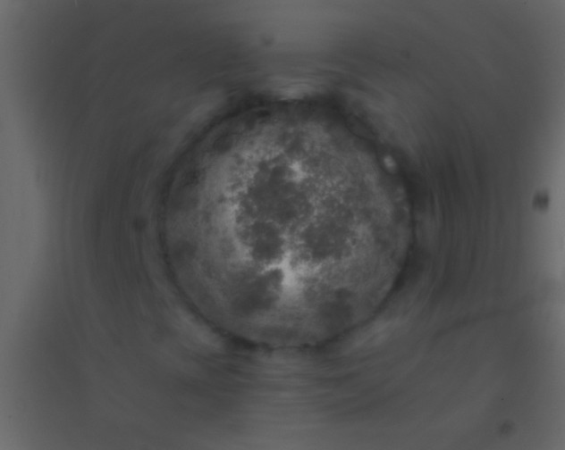 X0000094961393200712131634