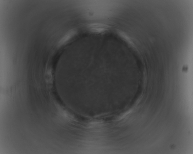 X0000094961394200712131634