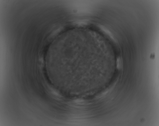 X0000094961395200712131634