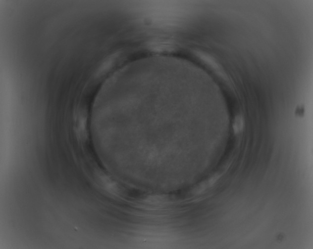 X0000094961396200712131634