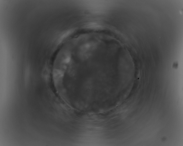 X0000094961397200712131634