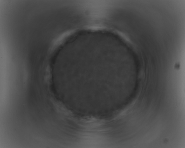 X0000094961398200712131634