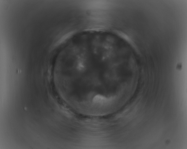 X0000094961399200712131634