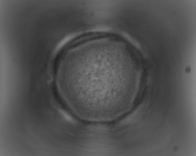 X0000094961400200712131634