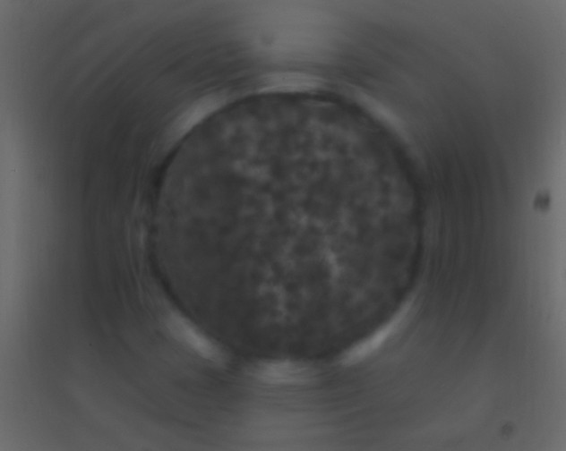 X0000094961401200712131634