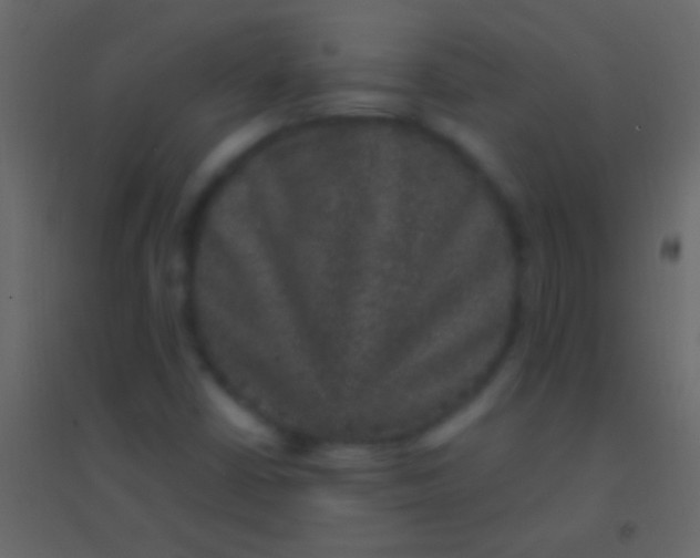 X0000094961402200712131634