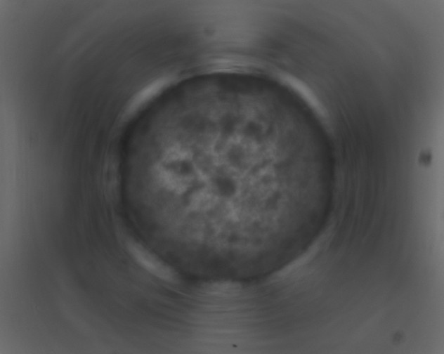 X0000094961403200712131634