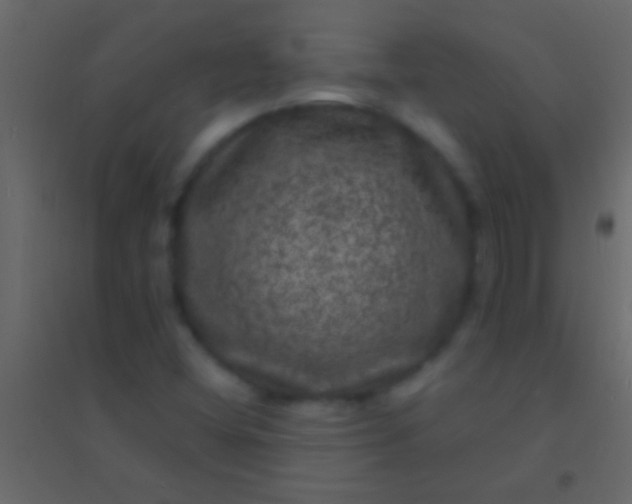 X0000094961404200712131634