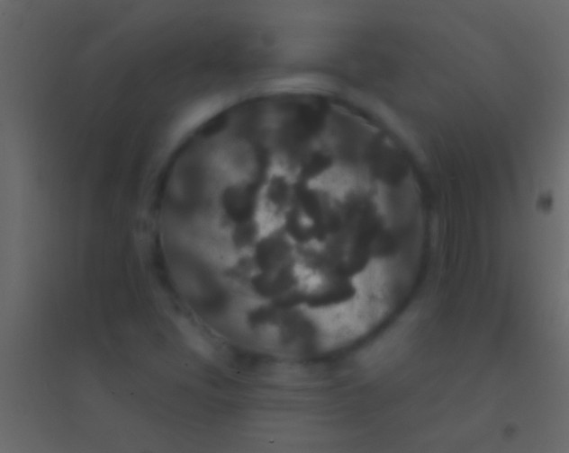 X0000094961405200712131634