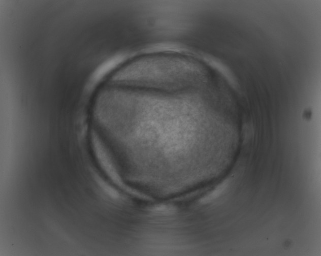 X0000094961406200712131634