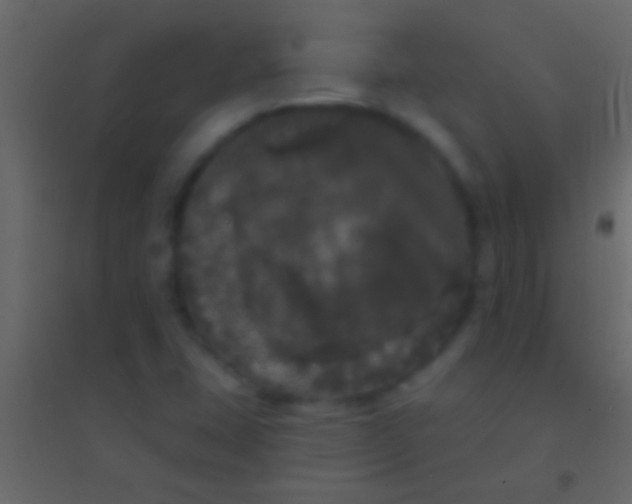 X0000094961407200712131634