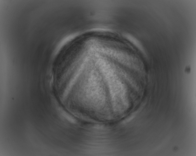 X0000094961408200712131635