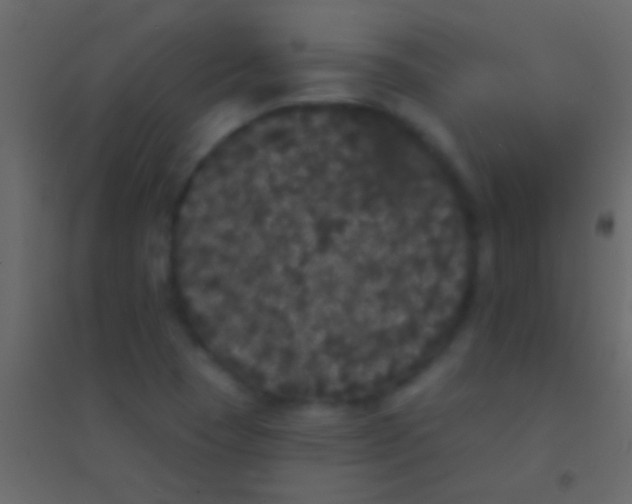 X0000094961409200712131635