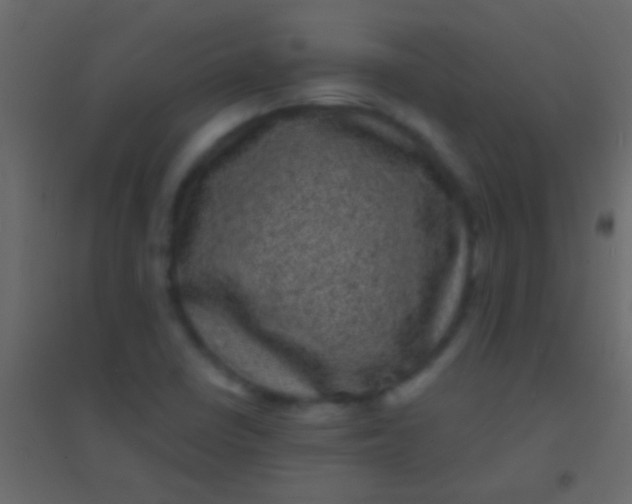 X0000094961410200712131635