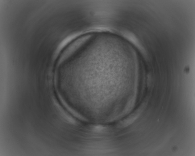 X0000094961412200712131635