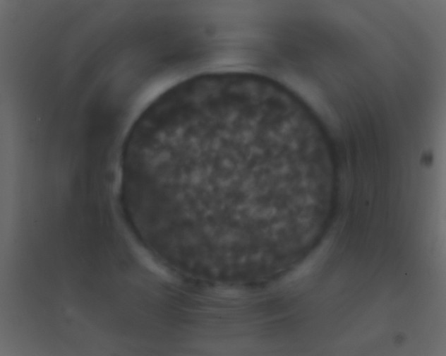 X0000094961413200712131635