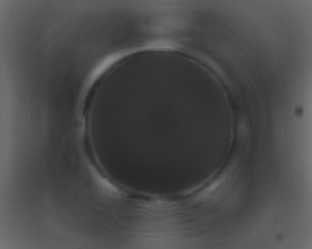 X0000094961414200712131635