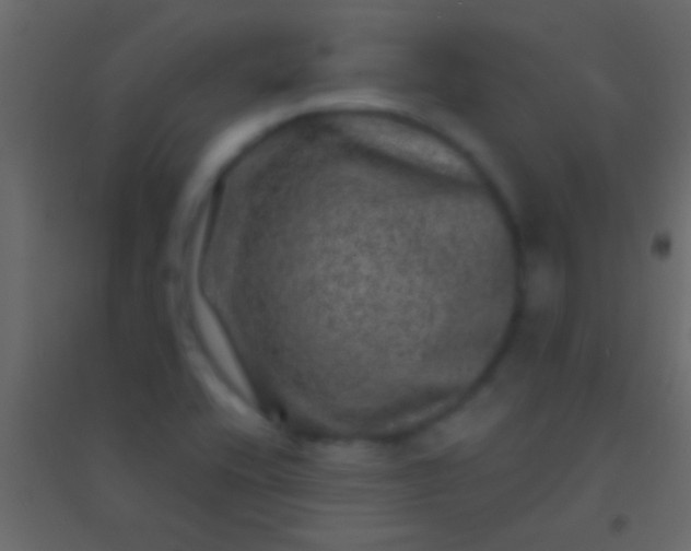 X0000094961416200712131635