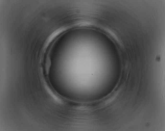 X0000094961418200712131635