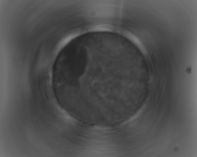 X0000094961419200712131635