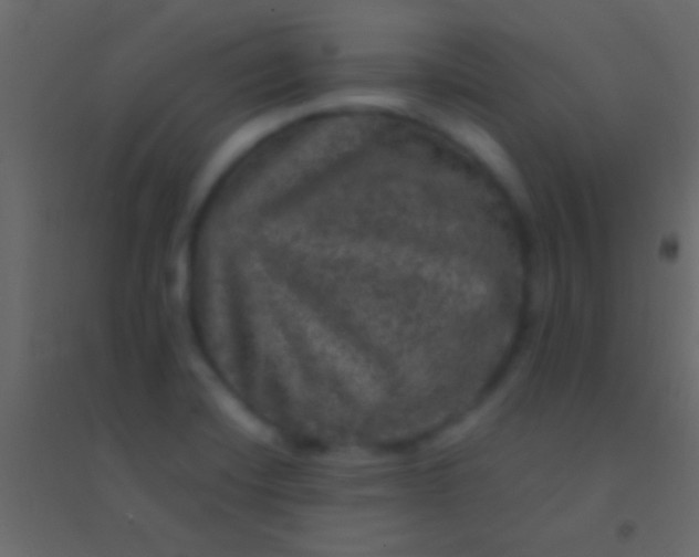 X0000094961420200712131635