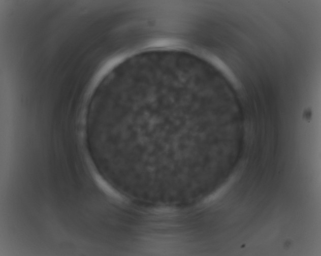 X0000094961421200712131635