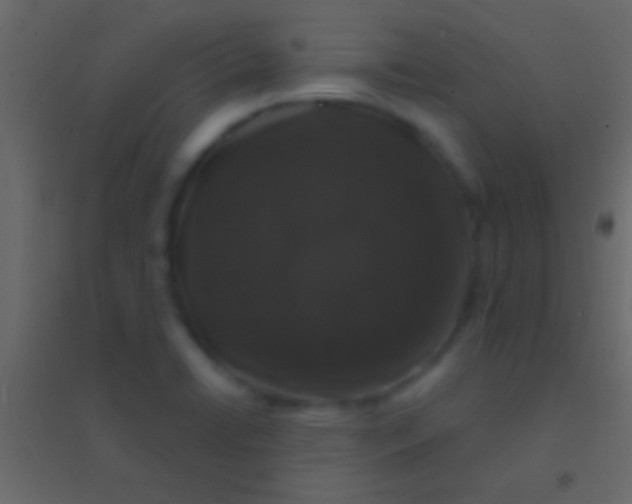 X0000094961422200712131635