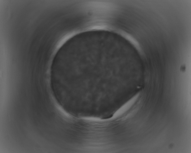 X0000094961423200712131635