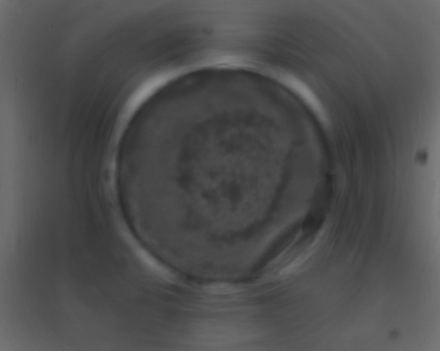 X0000094961424200712131635