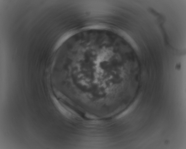 X0000094961425200712131635