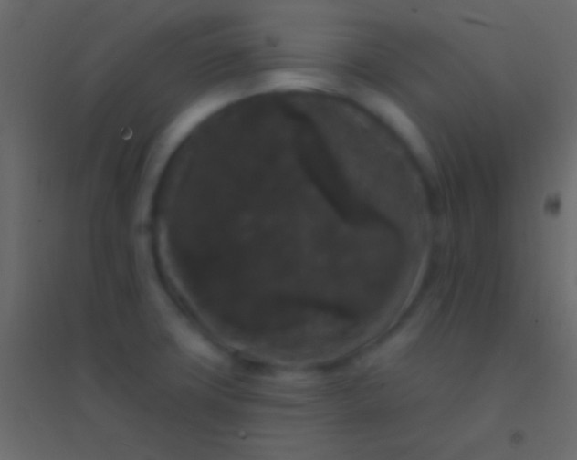 X0000094961427200712131635