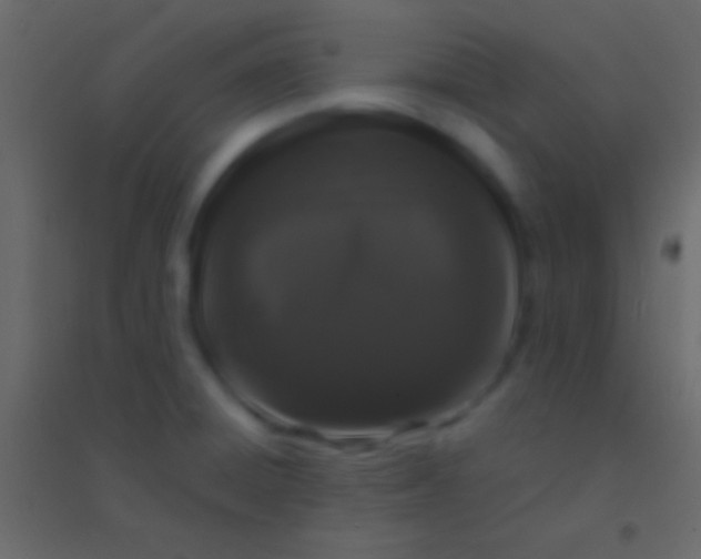 X0000094961428200712131635