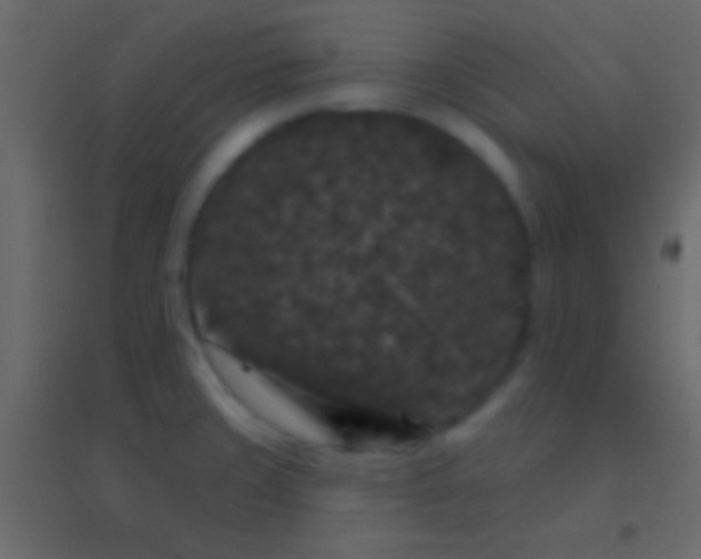 X0000094961429200712131635