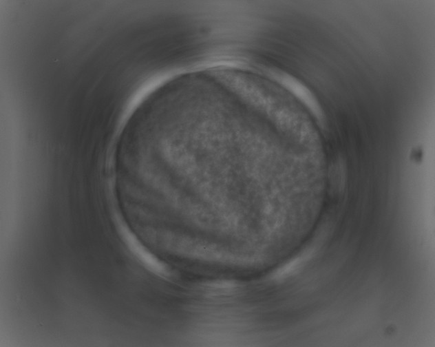 X0000094961431200712131635