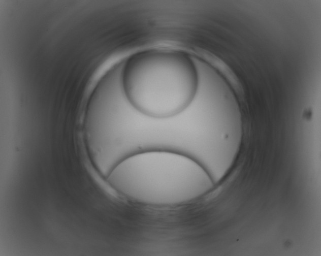 X0000094961432200712131635