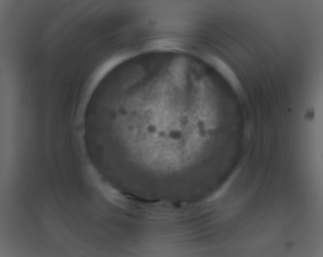 X0000094961435200712131635