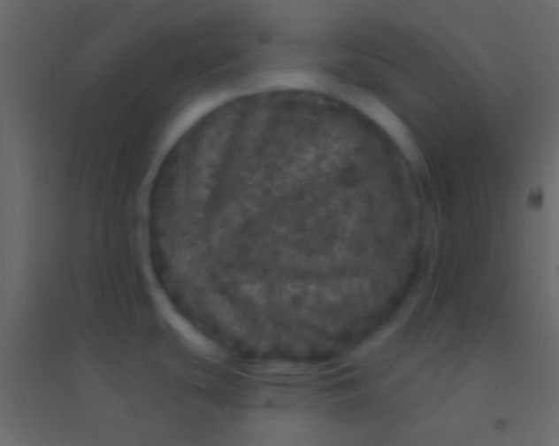 X0000094961439200712131635