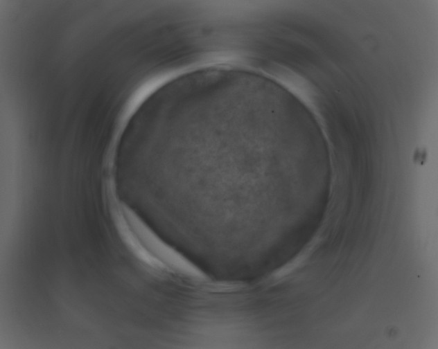 X0000094961440200712131635